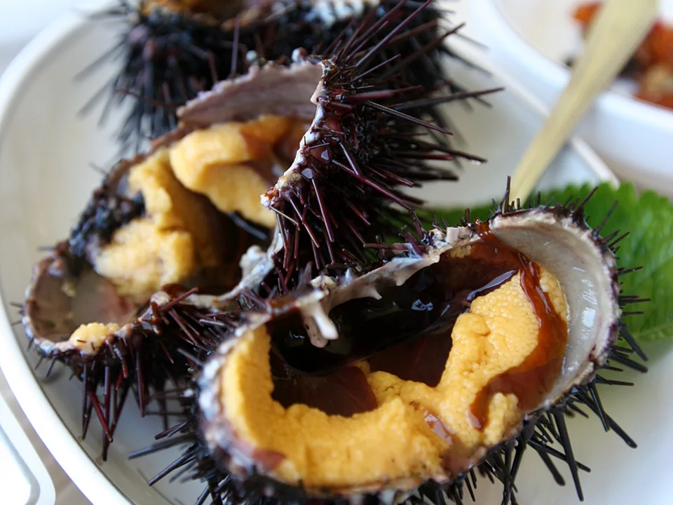 Aka Uni with Cauliflower — signature food visual for Amber